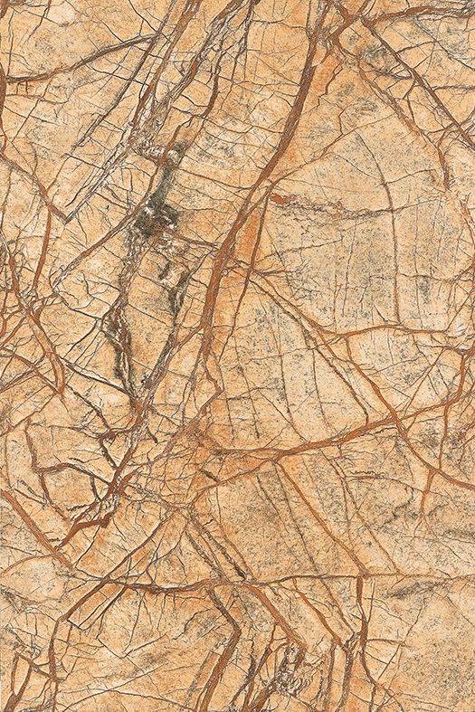 1631775000462585.jpg src=http_%2F%2Fhbimg.b0.upaiyun.com%2F57ca1c951bf8654ff256133c0e14e1c7aee4e6b9c4e20-h71oQF_fw658&refer=http_%2F%2Fhbimg.b0.upaiyun.jpg